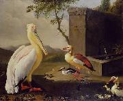 Adriaen Coorte Pelican and ducks in a mountain landscape or Oriental Birds oil